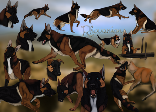 This is an original canine species and not a collage of traced and recolored German Shepherds, or at least that's what Johaan-N wants you to think.