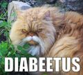 Diabetes-afflicted Tubcat-wannabe and Wilford Brimley imitator