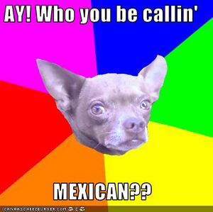 AC mexicain dog.jpg