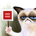 Grumpy Cat