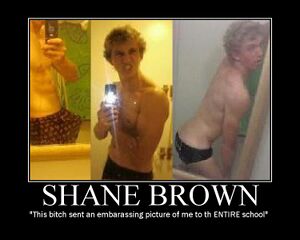 Shanebrown3.jpg