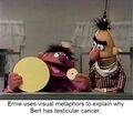 Bert always thought he had a cunt!