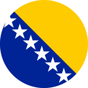 Bosnia flag.png