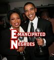 Emancipated Negroes love Emerald Nuts