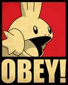 OBEY!