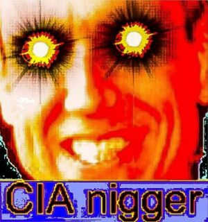 Terry davis cia nigger.jpg