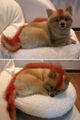 Firefox IRL.