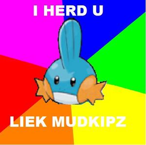 Advice Mudkip.jpg