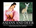 Raping a deer and azn seem the same when running at full speed.