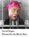 "Good Nigger... good."