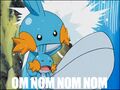 Mudkips OM NOM NOM NOM too.