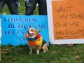 Supporters of Proposition 8 support bestiality.