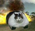 Tankcat